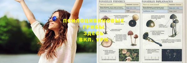 дживик Армянск