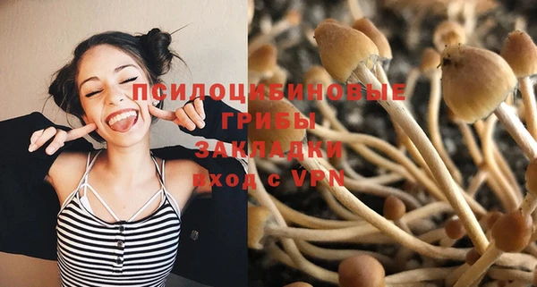 дживик Армянск