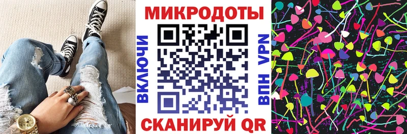 Псилоцибиновые грибы Cubensis Салаир